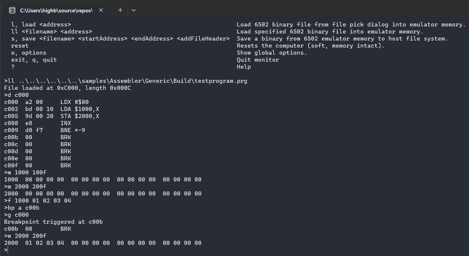 Machine code monitor native console host window
